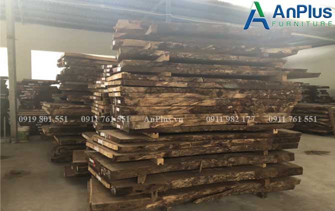 Tại Anplus có nhiều phôi gỗ nguyên khối lớn