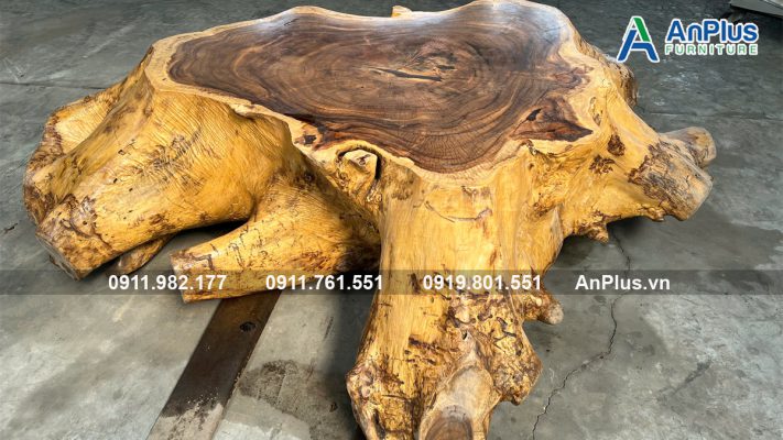 nơi nào bán bàn gỗ me tây uy tín gốc cây