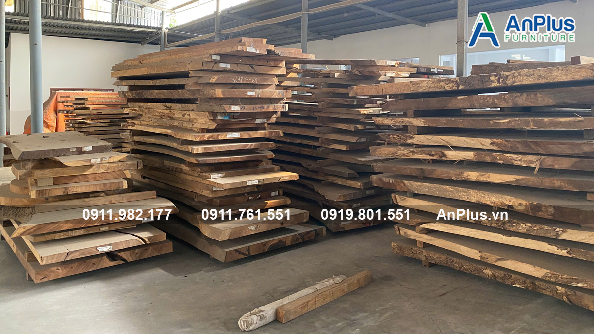 ý nghĩa phong thủy gỗ me tây trong nhà bạn ý nghĩa phong thủy gỗ me tây trong nhà bạn