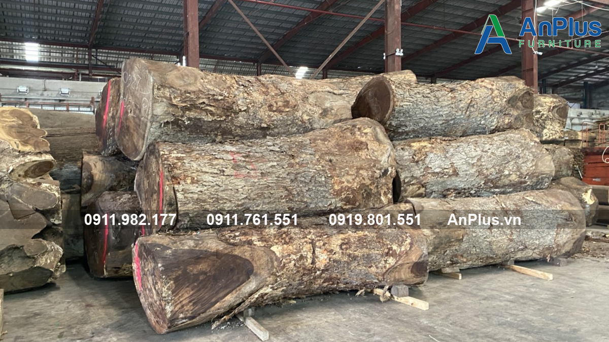 Nhà phân phối gỗ me tây xưởng sản xuất