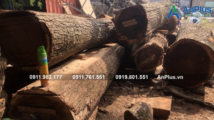 cách nhận biết gỗ me tây chất lượng tốt
