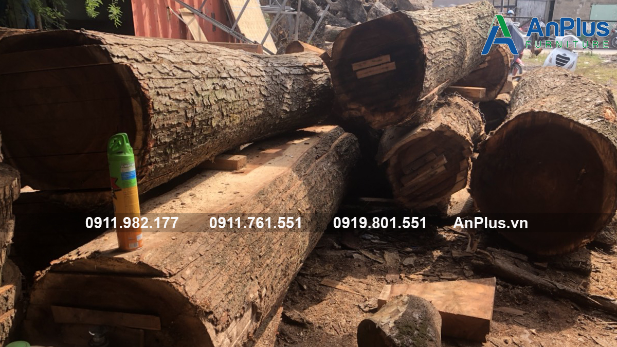 cách nhận biết gỗ me tây chất lượng tốt