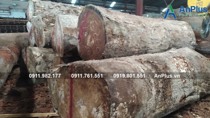 mẹo chọn bàn gỗ me tây chuẩn đẹp