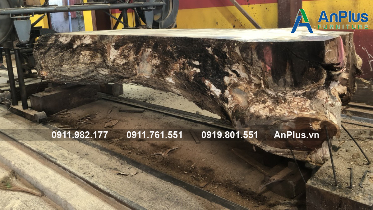 Địa chỉ xưởng sản xuất gỗ me tây tại TPHCM